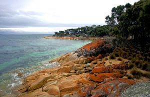 Trousers Bay  Flinders Island 